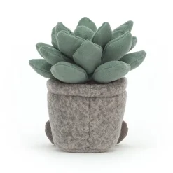 Silly Succulent Azulita*Jellycat Discount
